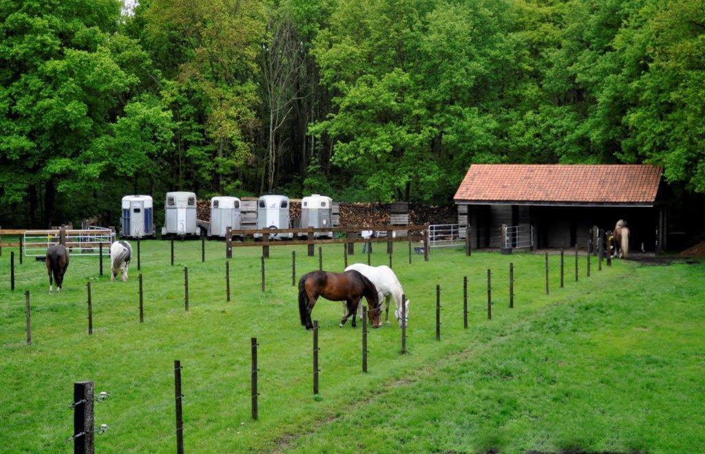 B&B De Edelsteen Zutendaal Exteriér fotografie