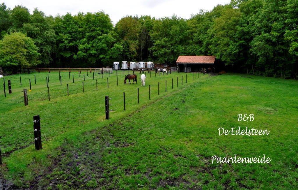 B&B De Edelsteen Zutendaal Exteriér fotografie